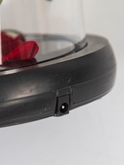 УЦЕНКА Фигурка светящаяся колба RISALUX «Паук с розой», LED-ночник, 1.5 Вт, 3×AAA, чёрный, USB, 11×11×21 см - Фото 13