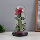 УЦЕНКА Фигурка светящаяся колба RISALUX «Паук с розой», LED-ночник, 1.5 Вт, 3×AAA, чёрный, USB, 11×11×21 см - Фото 3