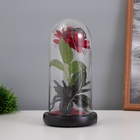 УЦЕНКА Фигурка светящаяся колба RISALUX «Паук с розой», LED-ночник, 1.5 Вт, 3×AAA, чёрный, USB, 11×11×21 см - Фото 4
