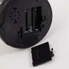 УЦЕНКА Фигурка светящаяся колба RISALUX «Паук с розой», LED-ночник, 1.5 Вт, 3×AAA, чёрный, USB, 11×11×21 см - Фото 8