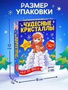 Набор для опытов «Чудесные кристаллы», с лошадкой - фото 54005205