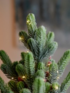 Фигура светодиодная «Морозное утро» 36 см, 20 LED, от батареек AG13×3, свечение тёплое белое - Фото 4