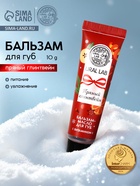 Бальзам-масло для губ, аромат пряный глинтвейн, 10 г, URAL LAB (комплект 2 шт) - фото 54809595