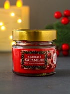 Ароматическая свеча в банке «Яблоки в карамели», 100 мл, 14 ч - фото 117894259