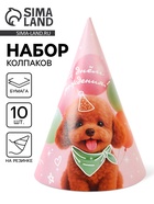 Колпак праздничный бумажный «С Днём рождения, собачка», розовый 10920702 - фото 8025785