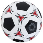 Мяч футбольный ONLYTOP, PVC, машинная сшивка, 32 панели, р. 5 - фото 3789278