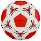 Мяч футбольный ONLYTOP, PVC, машинная сшивка, 32 панели, р. 5 - фото 8942334
