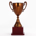 Кубок 045, наградная фигура, бронза, подставка пластик, 20×10.6×8 см - Фото 3