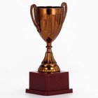 Кубок 045, наградная фигура, бронза, подставка пластик, 20×10.6×8 см - Фото 4