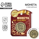 Монета выбора сувенир «Да - Нет», d=2.5 см - Фото 1