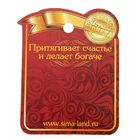 Монета выбора сувенир «Да - Нет», d=2.5 см - Фото 6