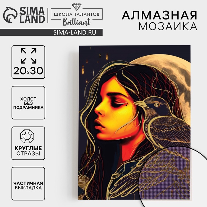 УЦЕНКА Алмазная вышивка с частичным заполнением «Девушка с вороном» 20×30 см, холст - Фото 1