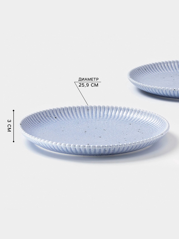 УЦЕНКА Набор тарелок 2 шт. «Коралл» 25.9×25.9×3 см, голубая - фото 117477537