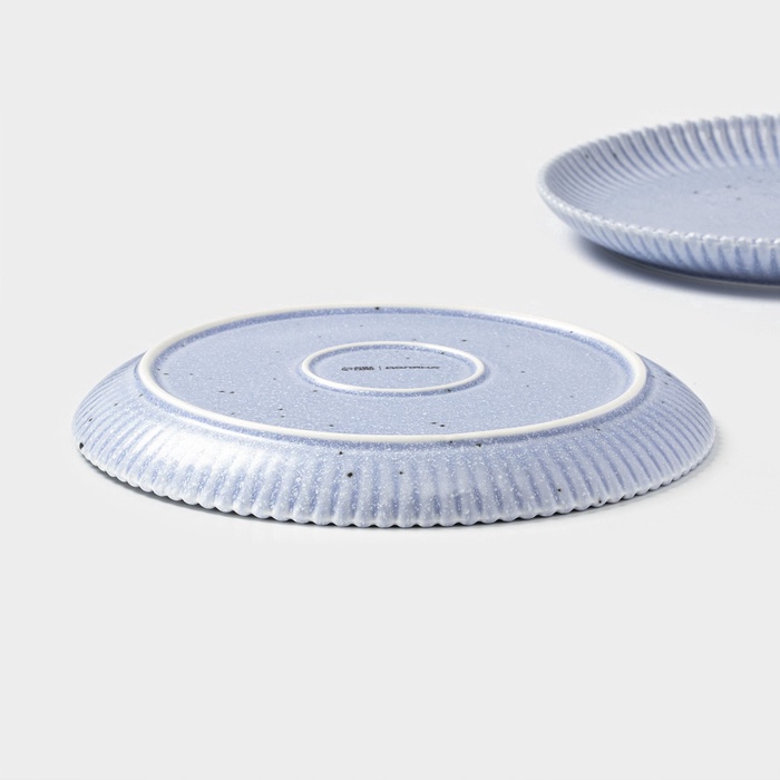 УЦЕНКА Набор тарелок 2 шт. «Коралл» 25.9×25.9×3 см, голубая - фото 117477539