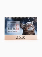 Календарь 2026 настольный, домик «Котенок в цветах» 14×20 см - Фото 4