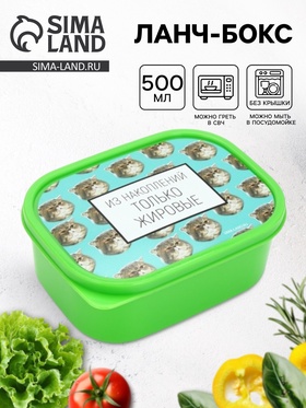 Ланч - бокс прямоугольный «Накопления», 500 мл