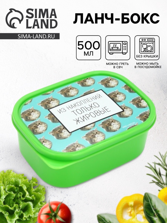 Ланч - бокс прямоугольный «Накопления», 500 мл - Фото 1