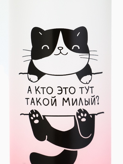 Бутылка для воды пластиковая «Котя», 300 мл