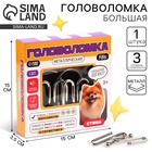 УЦЕНКА Головоломка металлическая «Стеша» - Фото 1