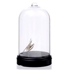 УЦЕНКА Школа талантов Набор для творчества «Новогодний ночник» Змея деревянн. - Фото 6