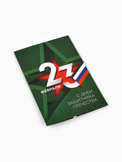 Открытка «С 23 Февраля», 12×18 см