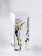 Ваза «Вента», веточки, h=26 см, стекло, чёрная 10921235