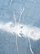 УЦЕНКА Набор для суши 3 пред «Марбл черный», соусники 8×8×2 см, 8×6×1 см, подставка 25×15×2 см 49670 - Фото 15