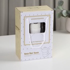 УЦЕНКА Набор чайный 3 пред «Страны» чайник 400 мл, 2 кружки 230 мл 10935504