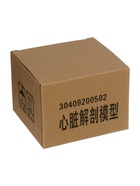 УЦЕНКА Макет «Сердце человека» 14×10 см 10935857