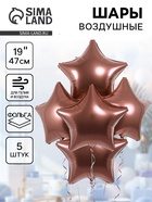 Воздушные шары фольгированные 19" «Каштан», 5 шт. - фото 117895543