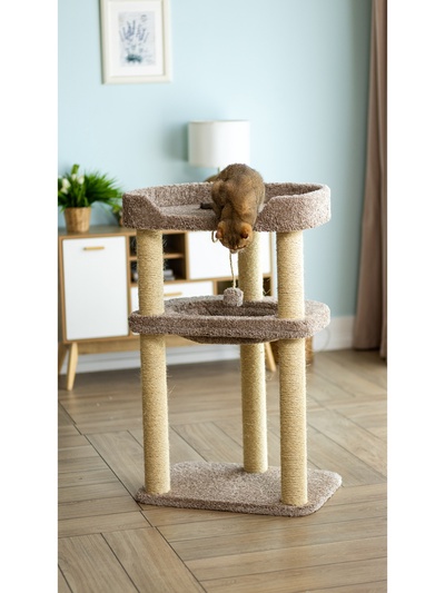 Комплекс для кошек с когтеточкой, с лежанкой «Релакс» 50×70×118 см, сизаль, капучино