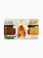 Подарочный набор новогодний «Здоровья и долголетия», мёд с прополисом, крем-мёд с облепихой - Фото 4