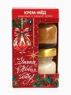 Крем-мёд новогодний, с кусочками грецкого ореха, кедрового ореха, набор 2 шт. х 30 г - фото 58045691 Крем-мёд новогодний, с кусочками грецкого ореха, кедрового ореха, набор 2 шт. х 30 г - фото 58045691