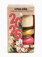Крем-мёд «Новый год 2026», с кусочками клубники и кедровым орехом, набор 2 шт. × 30 г - фото 118585194 Крем-мёд «Новый год 2026», с кусочками клубники и кедровым орехом, набор 2 шт. × 30 г - фото 118585194