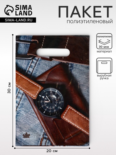 Пакет «Мужское решение», полиэтиленовый с вырубной ручкой, 20×30 см, 30 мкм