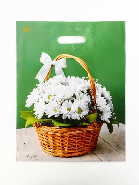 Пакет «Идеальный подарок», полиэтиленовый с вырубной ручкой, 31?40 см, 60 мкм (комплект 50 шт)