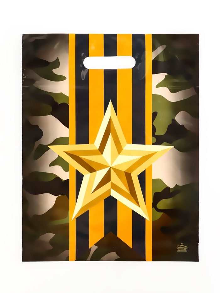 Пакет подарочный «Отвага», полиэтиленовый с вырубной ручкой, 31×40 см, 60 мкм - Фото 1