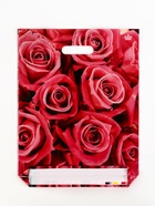 Пакет подарочный «Джейми», полиэтиленовый с вырубной ручкой, л 40×31 см, 60 мкм - Фото 3