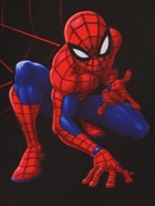 Кошелек детский на липучке, Человек паук - Фото 10