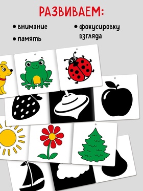 Книжки - гармошки картонные «Смотрим вместе», набор 6 шт.