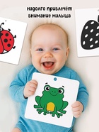 Книжки - гармошки картонные «Смотрим вместе», набор 6 шт. - Фото 4