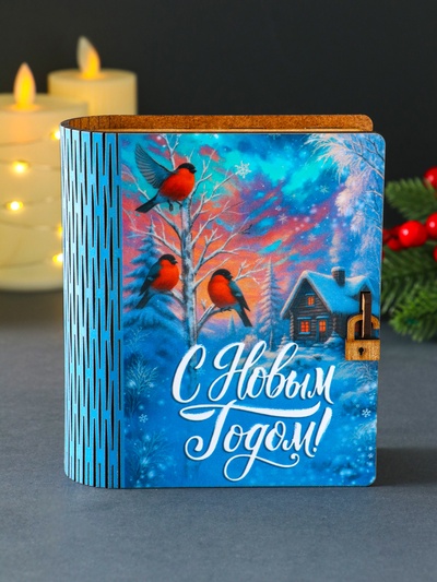 Копилка-книга для денег «С Новым годом», купюр, монет, 14×12×5 см