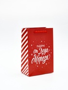 Пакет подарочный «Новогодний подарок», с ёлочной игрушкой и шильдиком, 18×23×11 см - фото 809248515