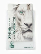 Пакет подарочный «Новогодний сюрприз», шильдик с тиснением, бахрома, 18×23×11 см 10878726