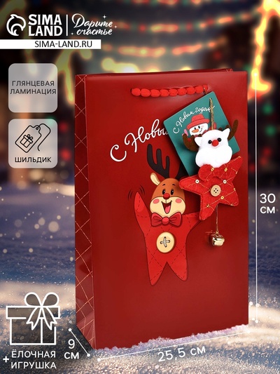 Пакет подарочный новогодний «С Новым годом», с ёлочной игрушкой и шильдиком, Дед Мороз, 25.5×30×9 см