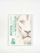 Пакет подарочный «Новогодний подарок», с носком для подарков и шильдиком, 31×40×11 см 10878759