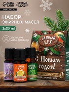 Эфирное масло «С новым годом», 3 шт х 10 мл, Банный Дух - фото 117897155