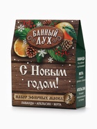 Эфирное масло «С новым годом», 3 шт. × 10 мл, Банный Дух 10898204 - фото 319932762