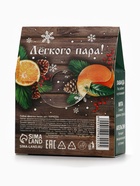 Эфирное масло «С новым годом», 3 шт. × 10 мл, Банный Дух 10898204 - фото 319932763