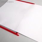 УЦЕНКА Информационный стенд, 15 карманов, 5 полос А4, (10 карманов А4), красная - Фото 4